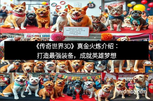 《传奇世界3D》真金火炼介绍：打造最强装备，成就英雄梦想